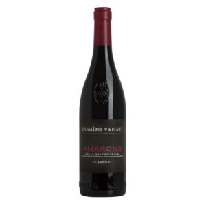 Etichetta Amarone della valpolicella docg classico Domini veneti