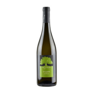 Sauvignon Colli orientali del friuli scublaScubla