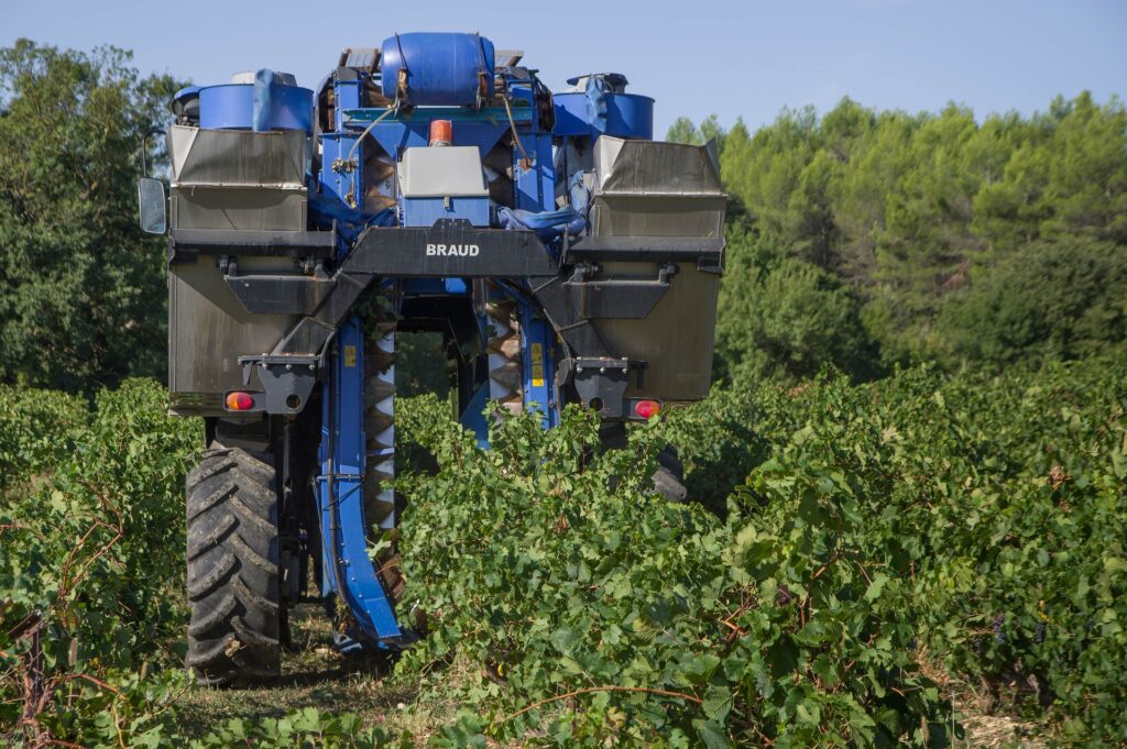 vendemmia meccanizzata