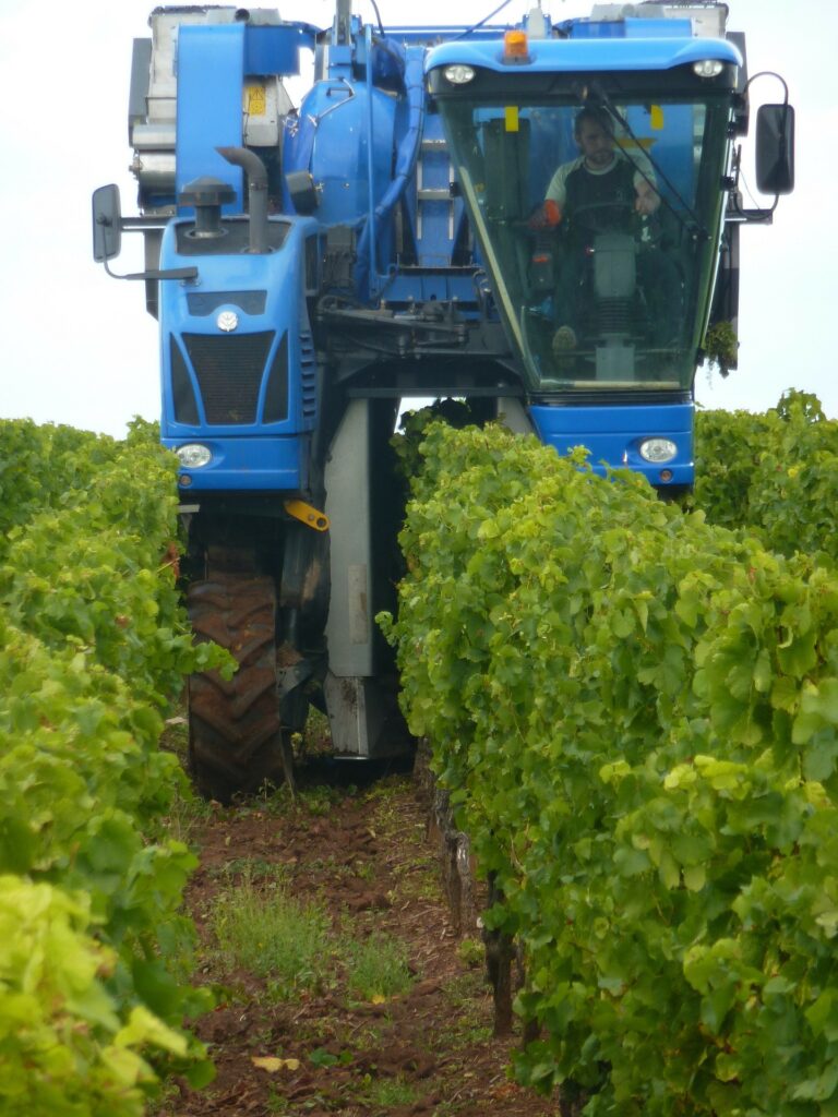 vendemmia meccanica