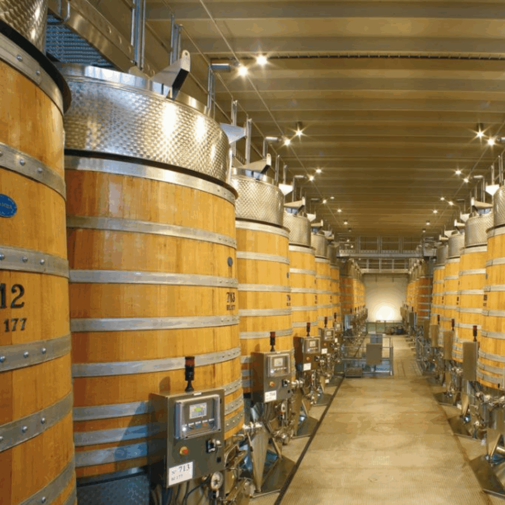 Il Fermentino Horizon di Banfi