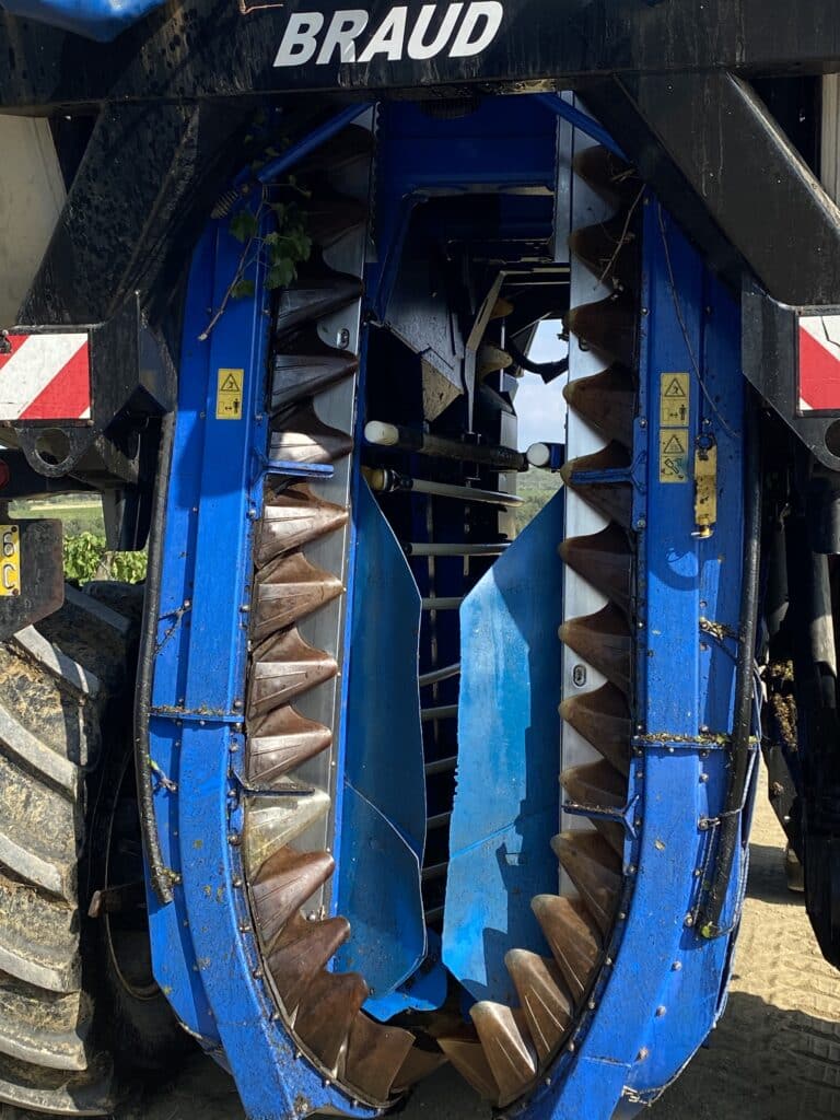 vendemmia meccanica