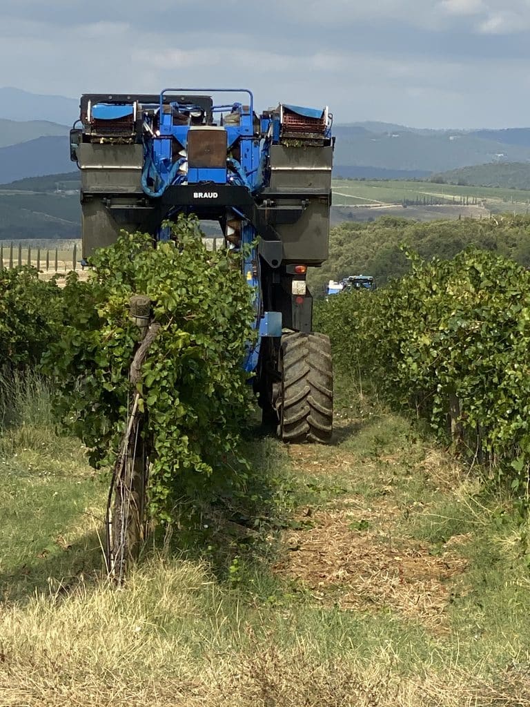 La macchina vendemmiatrice tra i filari