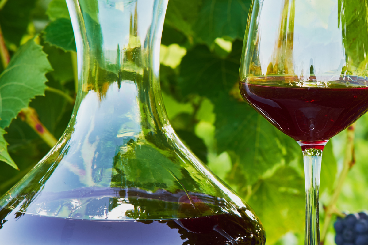 decantare il vino