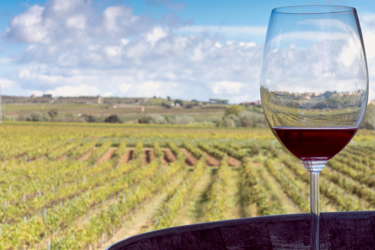 la vinificazione in rosso