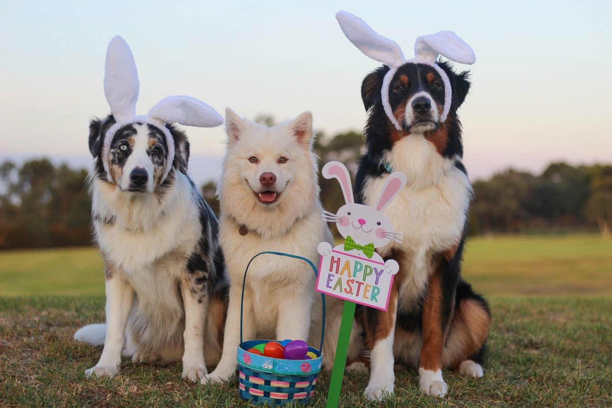 pasqua in famiglia