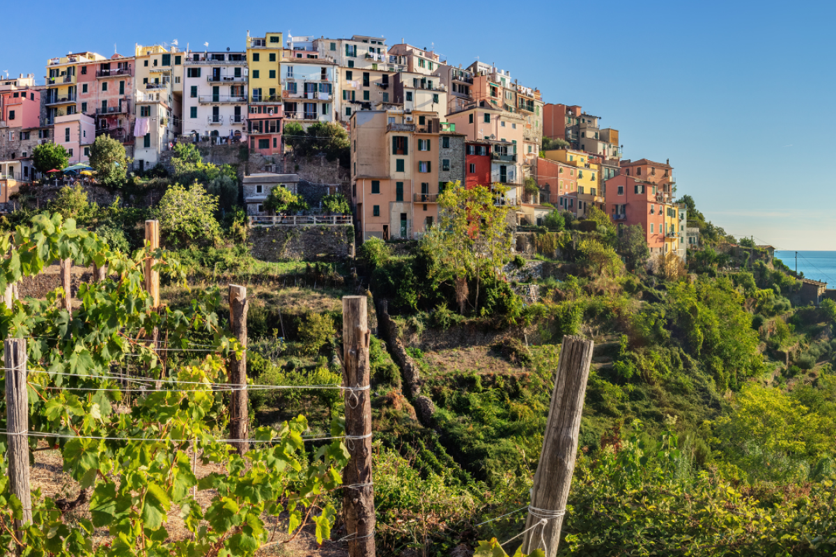 esempio di viticultura eroica alle cinque terre